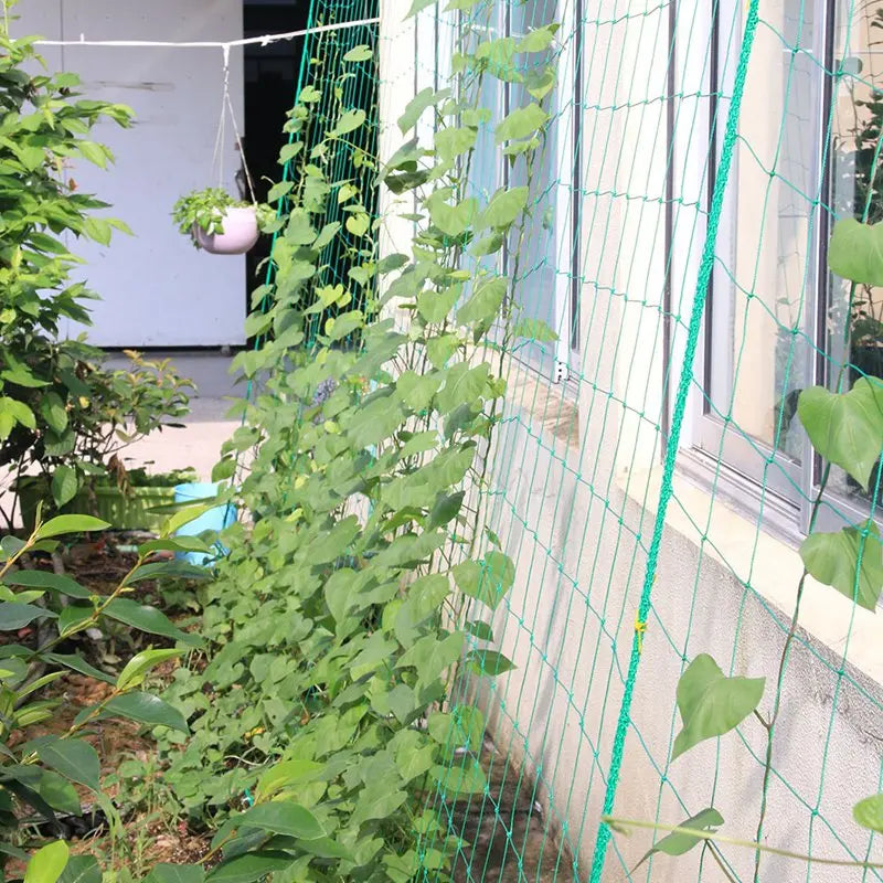 1Pc Garden Plants Climbing Net Plastic & Nylon Net Morning Glory Flower Vine Netting Support Net Grow Holder Trellis Netting