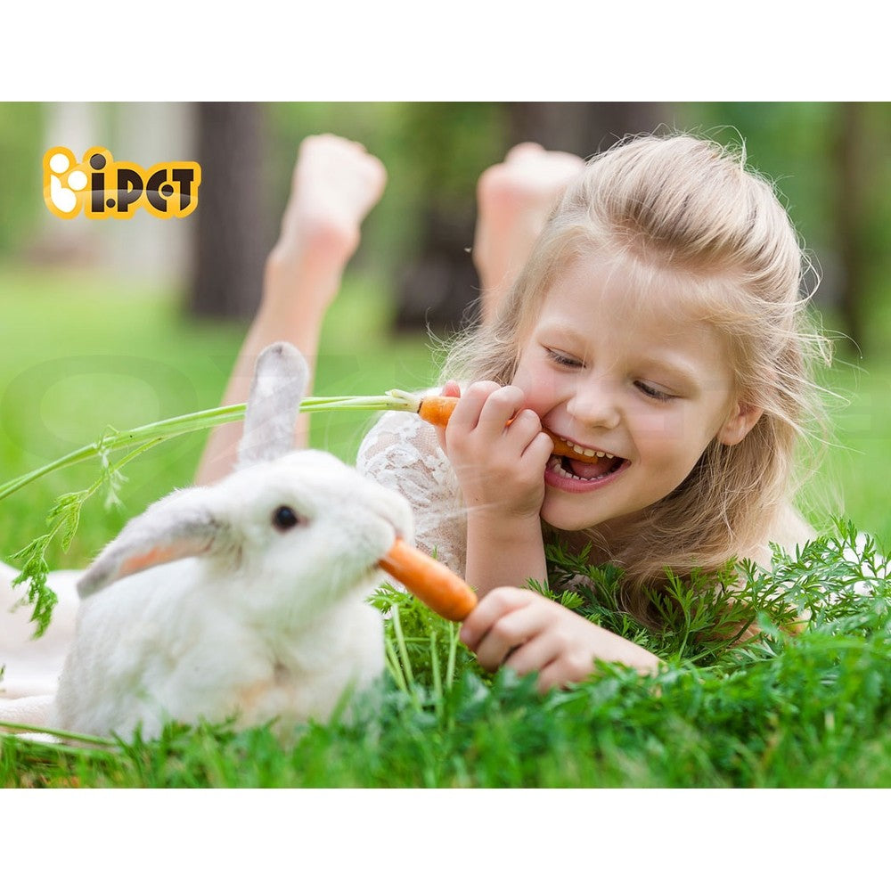 I.Pet Rabbit Hutch Chicken Coop Large Run Wooden Pet Cage Houses Outdoor Coops