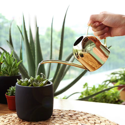 Watering Can Gold Color Stainless Steel Pot Long Spout Indoors Home Plant Pot Bottle Watering Device Meaty Bonsai Garden Tool
