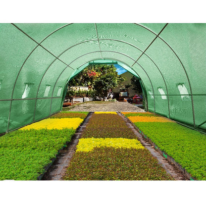 Green Fingers Greenhouse Dome Shed Walk in Tunnel Green House Plant 4X3X2M