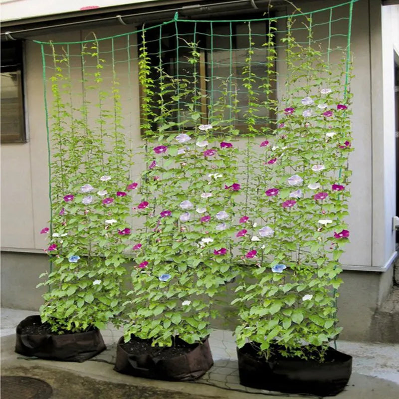 1Pc Garden Plants Climbing Net Plastic & Nylon Net Morning Glory Flower Vine Netting Support Net Grow Holder Trellis Netting
