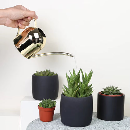 Watering Can Gold Color Stainless Steel Pot Long Spout Indoors Home Plant Pot Bottle Watering Device Meaty Bonsai Garden Tool